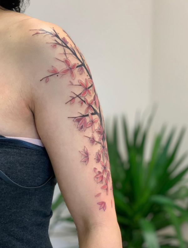 Pohon Sakura